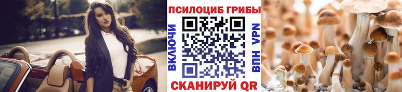 продажа наркотиков  Северская  Галлюциногенные грибы GOLDEN TEACHER 